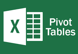 Excel Pivot Table Training