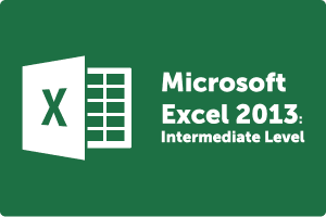 Learn Intermediate Excel 2013 at Intellisoft