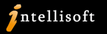 Intellisoft Systems Logo