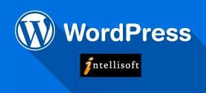 Wordpress training at Intellisoft, Singapore