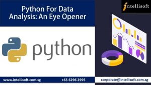 Learn Python for Data Analysis at Intellisoft Singapore