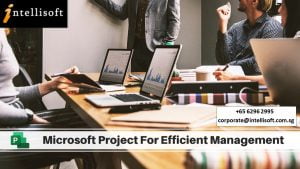 Features of Microsoft Project
