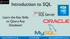 Learn SQL to query any databse at Intellisoft Singapore