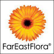 far-east-flora-logo