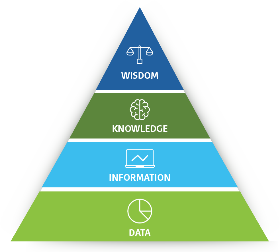 Learn to convert data into information into knowledge into wisdom at Intellisoft Systems Singapore